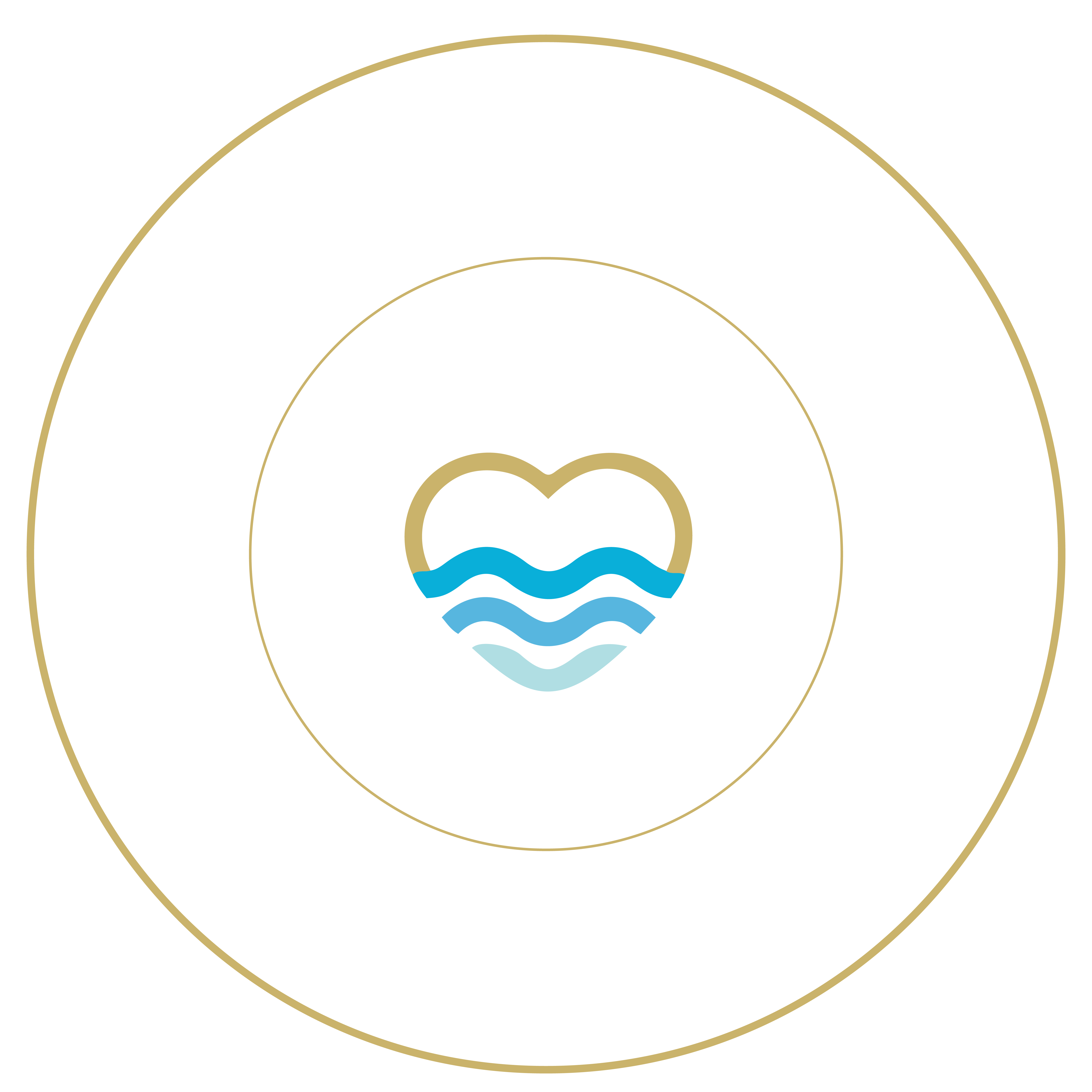 The Marriage Cruise for Christian Couples